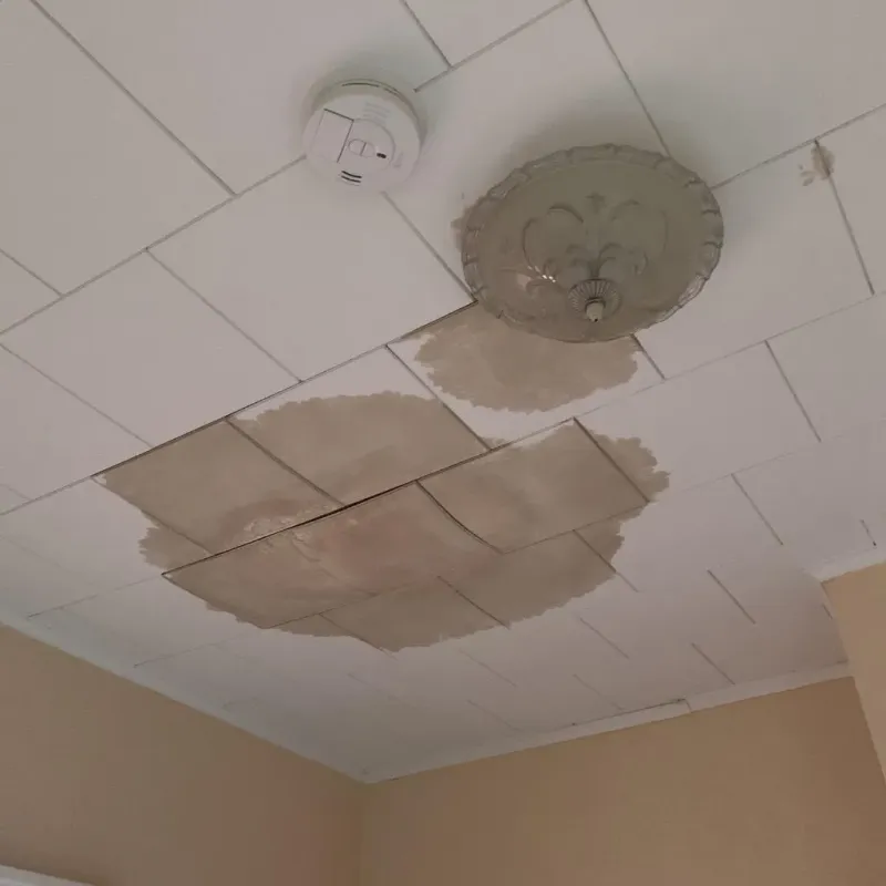 Ceiling Water Damage Repair in Leakey, TX