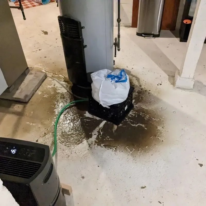 Sewage Backup Cleanup Service in Leakey, TX